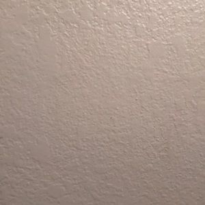 Meet your Posher, Emilie